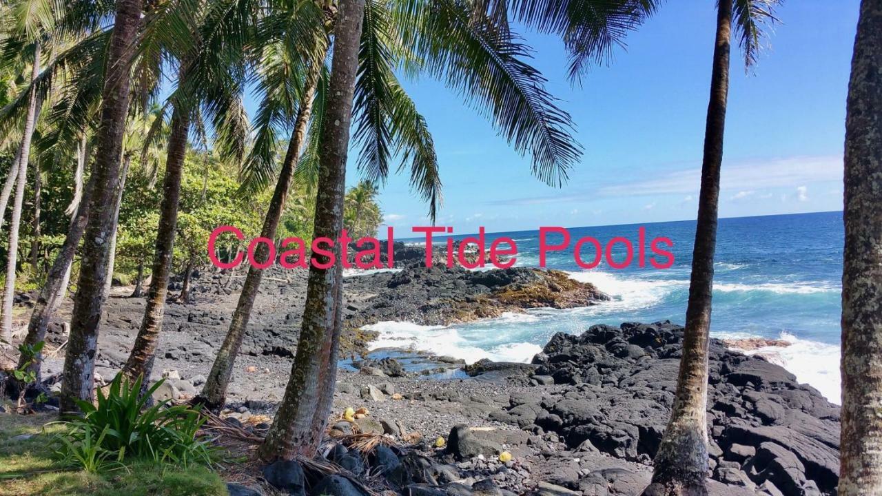 Coconut Palms Vacation Rental Near Lava Fields And Beaches Kehena Экстерьер фото